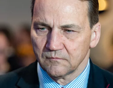 Miniatura: Radosław Sikorski o pomocy Ukrainie: Rząd...