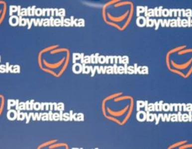 Miniatura: Platforma powoła zespół do zmiany konstytucji