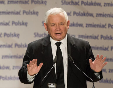 Miniatura: Czy biznes zaufa Kaczyńskiemu