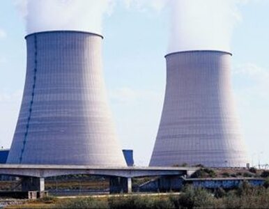 Miniatura: Niemcy przeciw polskim elektrowniom atomowym