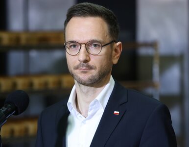 Miniatura: Waldemar Buda: Platforma nie wybudowała...