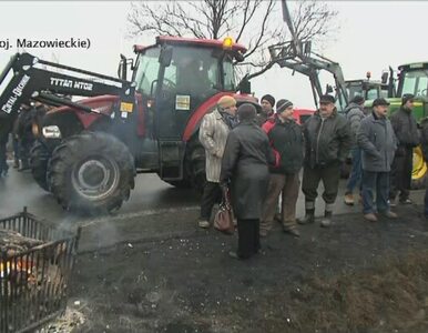 Miniatura: Rolnicy jadą na Warszawę. "Nie chcemy iść...