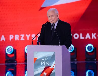 Miniatura: Kaczyński ostrzega przed „systemem Tuska”:...