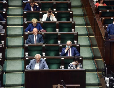 Miniatura: Posłanka PiS głosowała przeciwko tzw....