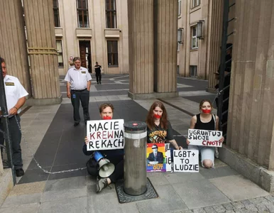 Miniatura: Protest przed siedzibą MEiN. Siostrzeniec...