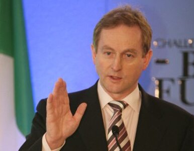 Irlandia: opozycyjna Fine Gael ogłasza zwycięstwo