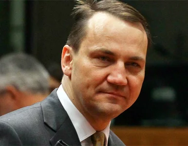 Miniatura: Wrak wciąż nie w Polsce. Sikorski: to...