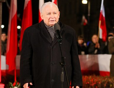 Miniatura: Kaczyński przestrzega przed „konkretnym...