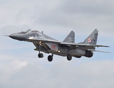Miniatura: Seria doniesień o polskich MiG-ach dla...