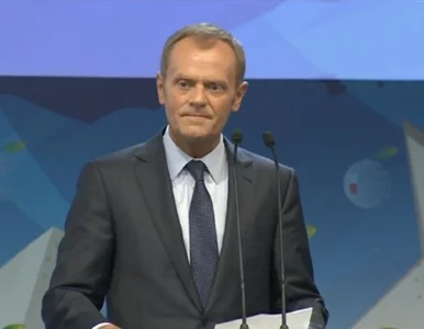 Miniatura: Tusk: jutro decyzja w sprawie OFE