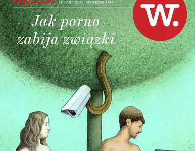 Miniatura: Jak porno niszczy związki, 30...