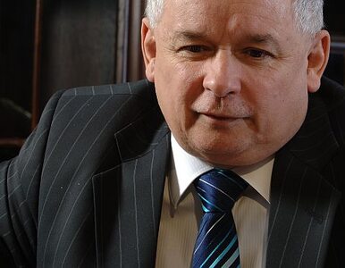 Miniatura: PSL pozwie Kaczyńskiego za miękkie narkotyki