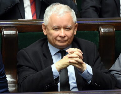 Miniatura: Prezes PiS komentuje swój wybuch w Sejmie....