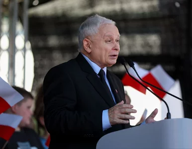 Miniatura: Kaczyński o zwiększeniu frekwencji w...