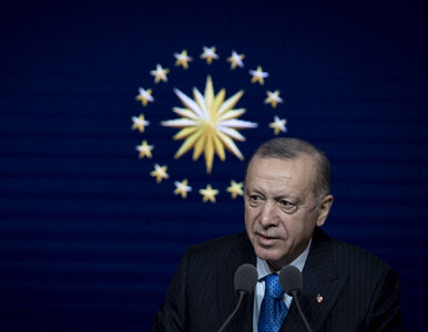 Miniatura: Prezydent Turcji oskarża NATO i UE. Chodzi...