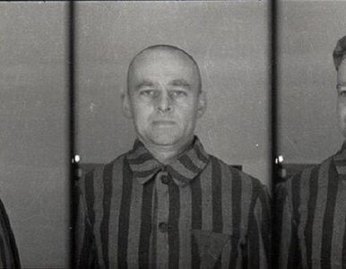 Miniatura: 80 lat temu Witold Pilecki dał się...