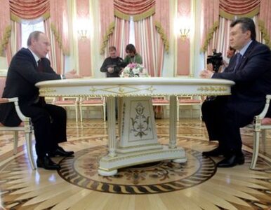 Miniatura: Janukowycz nie chce unii celnej z Rosją