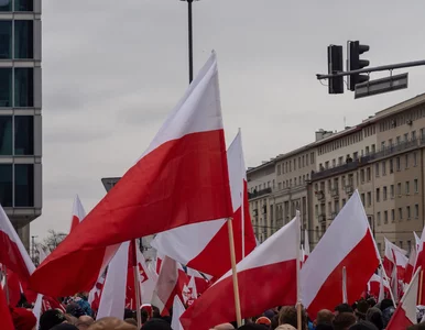 Miniatura: Polska flaga do zmiany? Znamy szczegóły...