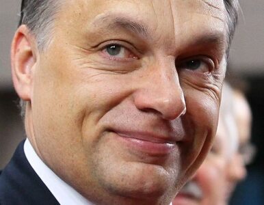 Miniatura: Orban: Bruksela nie odbierze nam nawet centa