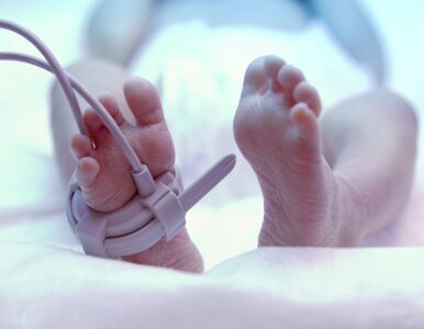 Na czym polega działalność hospicjum perinatalnego?