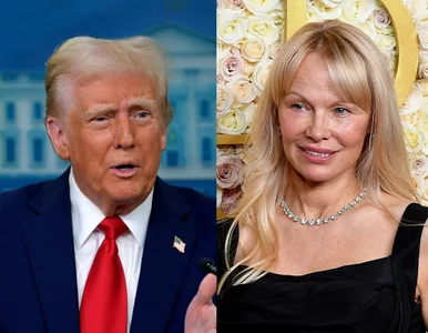 Miniatura: Pamela Anderson poszła na urodziny Donalda...