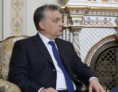 Miniatura: Orban ws. Ukrainy: Najpierw musimy zadbać...