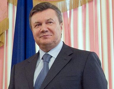 Miniatura: Janukowycz: Ukraina wybiera Europę,...