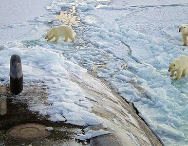Miniatura: Rosja walczy z Kanadą o złoża Arktyki