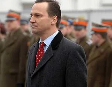 Miniatura: Sikorski: będę ciężko pracował na uznanie...