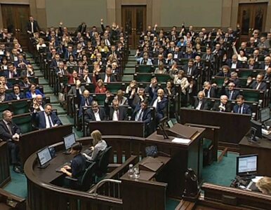 Sejm zdecydował. Kontrowersyjna ustawa do dalszych prac