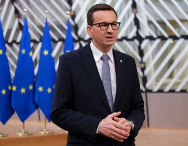 Miniatura: Mateusz Morawiecki dla ARD: Skutki...