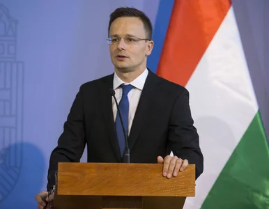 Miniatura: Polak i Węgier już nie dwa bratanki. Szef...