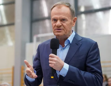 Miniatura: Donald Tusk nawiązał do wpisu Lisa o...