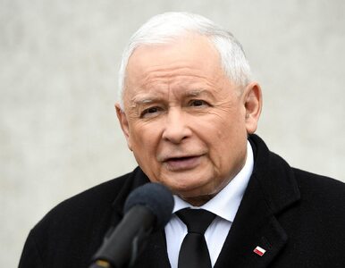 Miniatura: Kaczyński: Degradować, dołować Polskę. To...