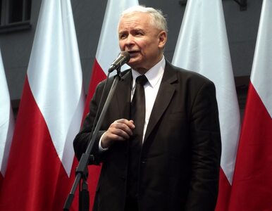 Miniatura: Kaczyński kandydatem PiS na prezydenta? To...