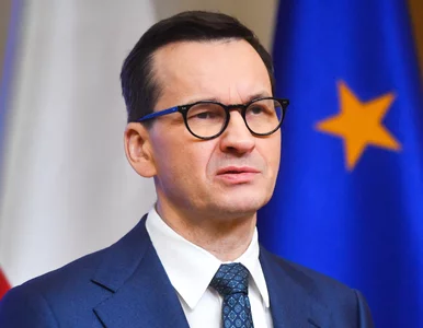 Miniatura: Morawiecki chce sprowadzić do Polski...