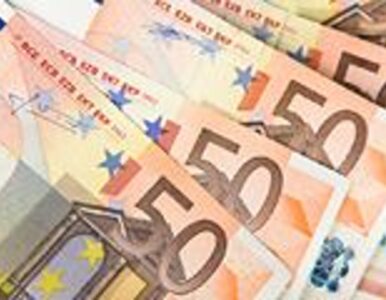 Miniatura: Rostowski: wejście do euro może się przesunąć