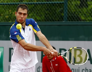 Miniatura: Wimbledon: Stepanek skreczował, Janowicz...