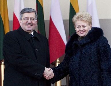 Miniatura: "Odejście od partnerstwa z Polską to...