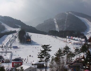 Miniatura: Koreański Pyeongchang gospodarzem zimowych...