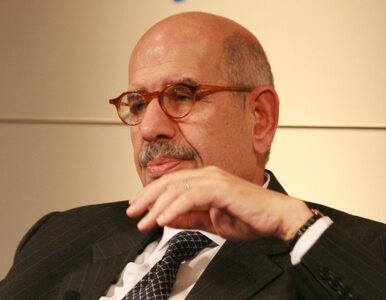 Miniatura: ElBaradei: Mubarak gra na czas. Musi...