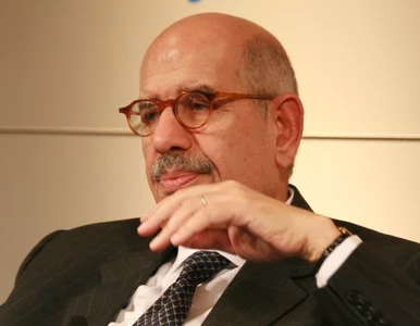 Miniatura: ElBaradei: Mubarak gra na czas. Musi...