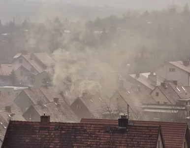 Miniatura: Wracają problemy ze smogiem. W kilku...