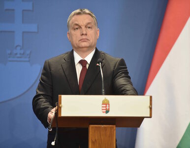 Miniatura: Orban za utworzeniem europejskiej armii...