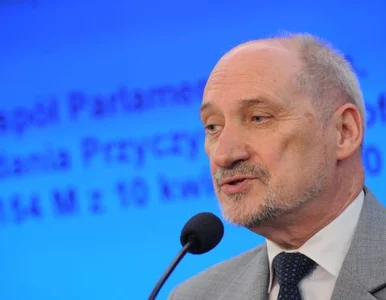 Miniatura: Macierewicz donosi na Tuska i Sikorskiego....