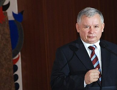 Miniatura: Poseł PiS: Kaczyński mówi, że sprawa...
