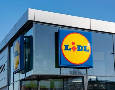 Miniatura: To już pewne. Lidl także otwiera się w...