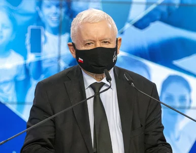 Miniatura: Kaczyński ogłosił międzynarodowy sojusz...