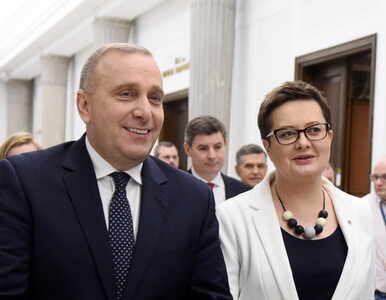Nowoczesna apeluje o przyjęcie rezolucji ws. Polski. Europosłowie PO...