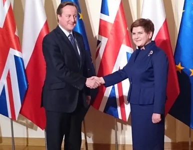 Miniatura: Szydło: Polsce zależy, żeby Wielka...